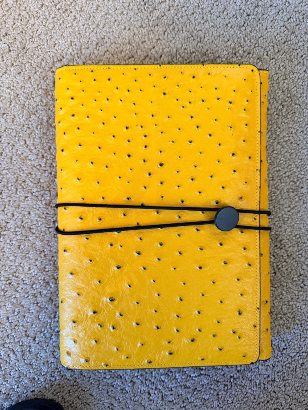 Vintage Faux Ostrich Clutch/Notebook with Elastic Closure